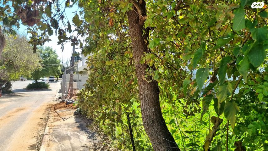 גג/ פנטהאוז