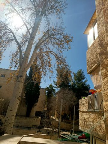 דירה למכירה בירושלים (תיווך) — 5