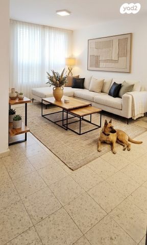 דרום מערב ותיק