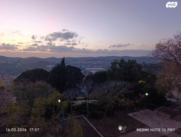 ז'בוטינסקי 438