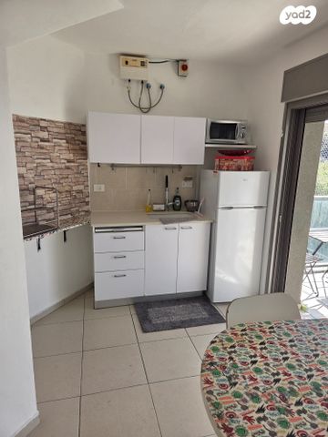 אריה לובה אליאב 20