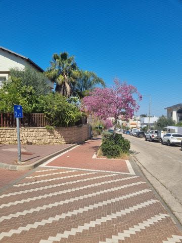 נחל בשור 