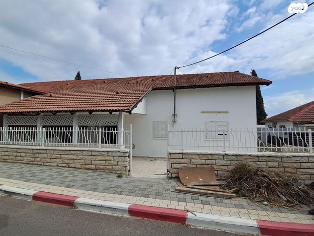 יצחק בן צבי 