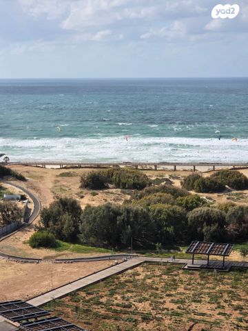 דרום חדש, פארק הים