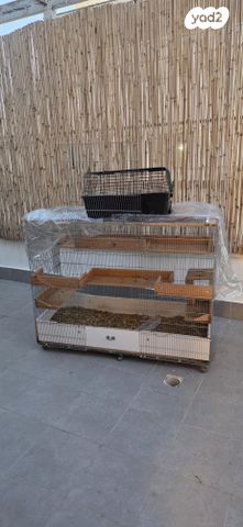 תמונת מודעה - חיות מחמד