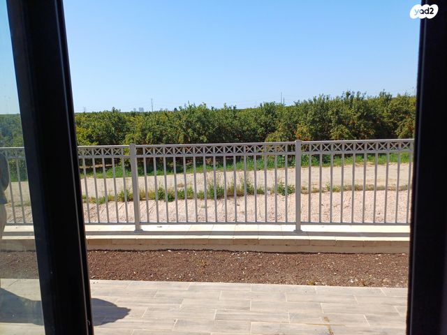 שיר השירים 15