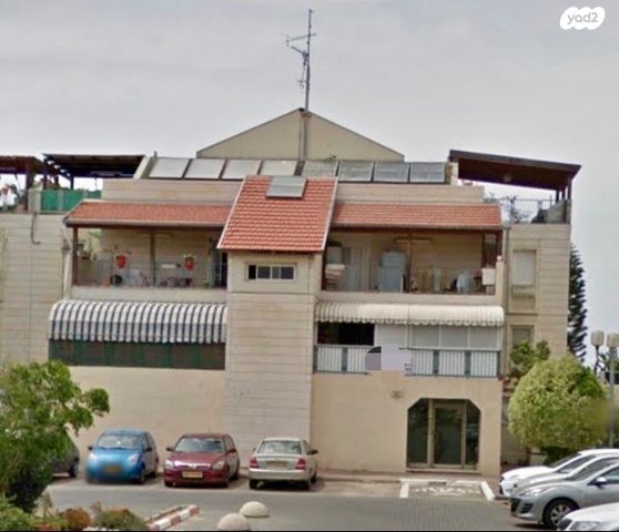 אירוס הארגמן 