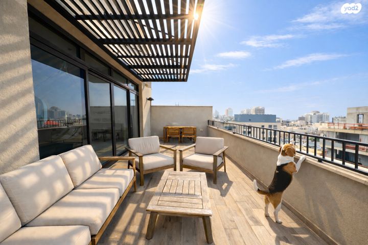 גג/ פנטהאוז, הצפון הישן - צפון, תל אביב יפו