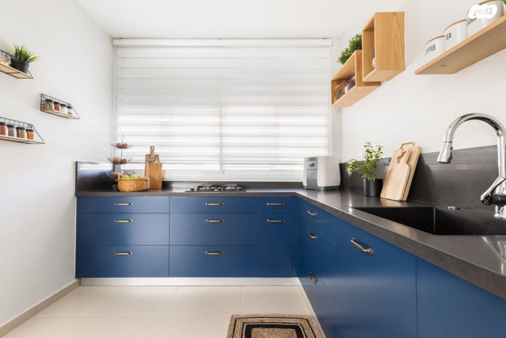 יצחק בן צבי 