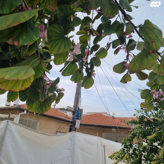 בית פרטי/ קוטג', קרית עקרון