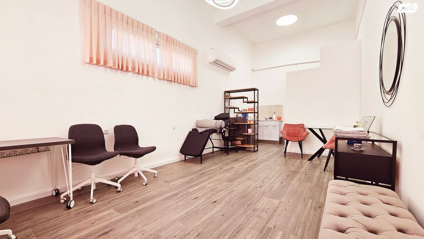 אריה שנקר 27