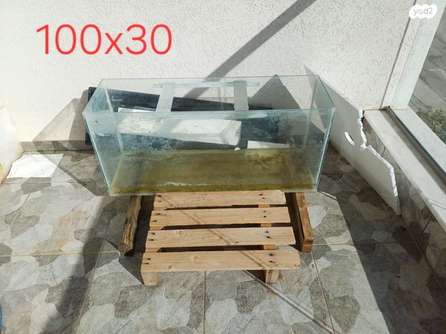 תמונת מודעה - חיות מחמד