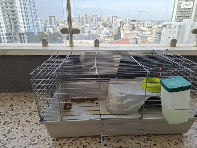 תמונת מודעה - חיות מחמד