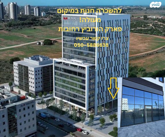 אלי הורוביץ 15