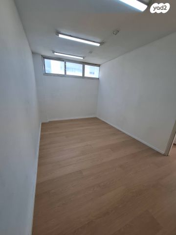 נתן ילין מור 24