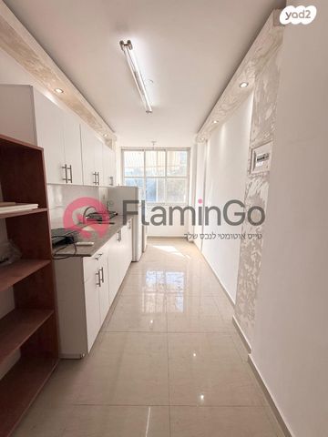 אהרון צייטלין 29