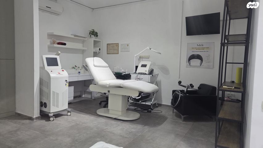 דוד כוכבי 24