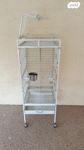 תמונת מודעה - חיות מחמד