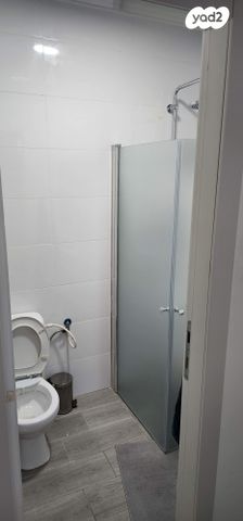 דוד וולפסון 24