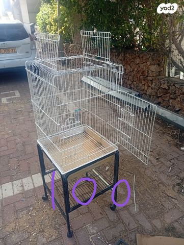 תמונת מודעה - חיות מחמד