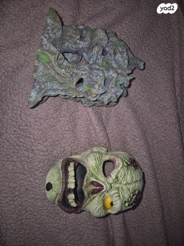 תמונת מודעה - חיות מחמד