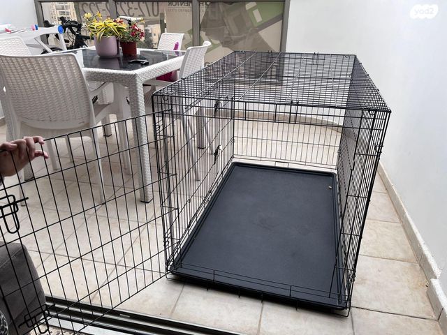 תמונת מודעה - חיות מחמד