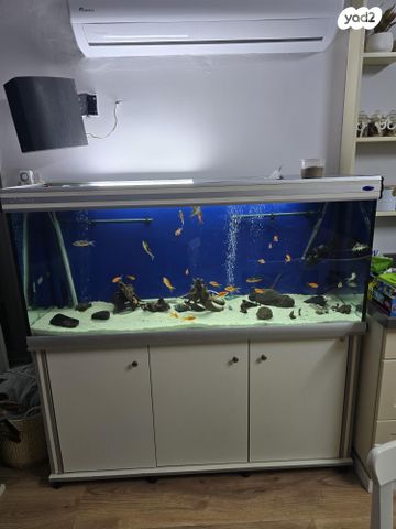 תמונת מודעה - חיות מחמד