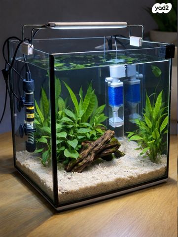 תמונת מודעה - חיות מחמד