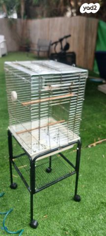 תמונת מודעה - חיות מחמד