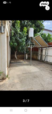 שלמה בן יוסף 6