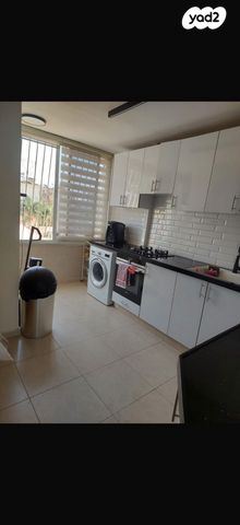 איילת השחר 8