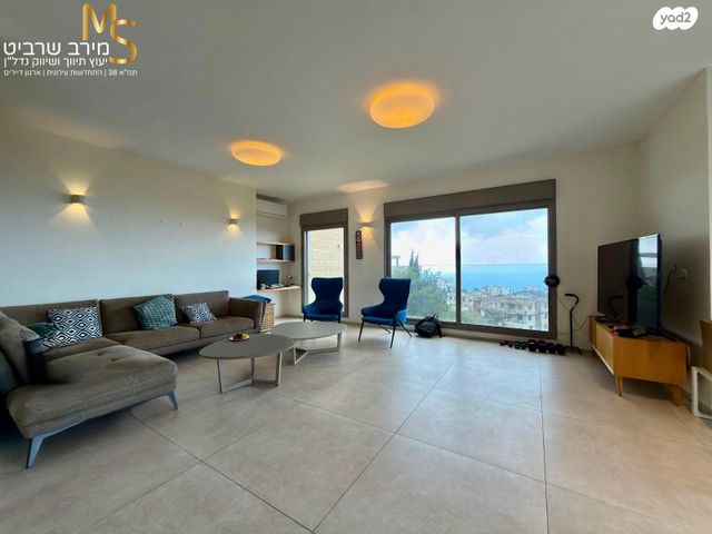 שדרות הברושים 