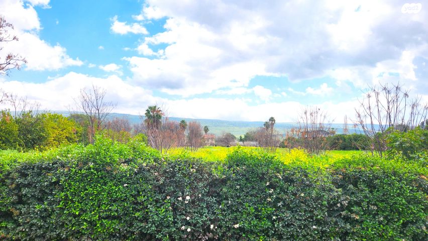 בית פרטי/ קוטג'