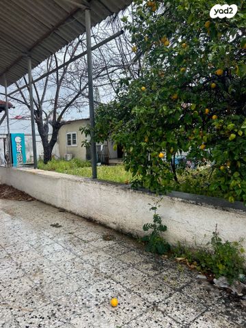 חיים ארלוזורוב