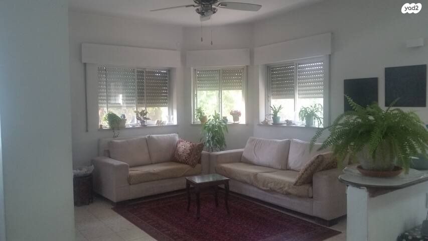 המושבה היוונית