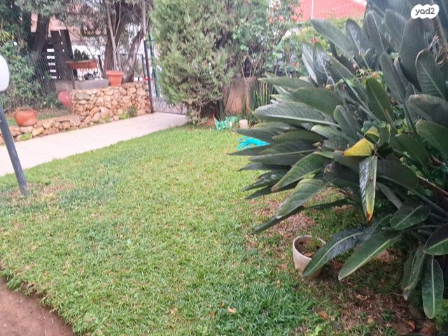 העלייה השנייה 