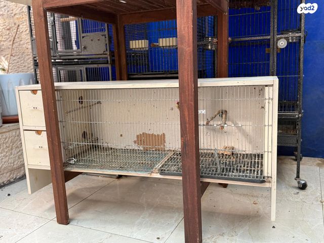 תמונת מודעה - חיות מחמד