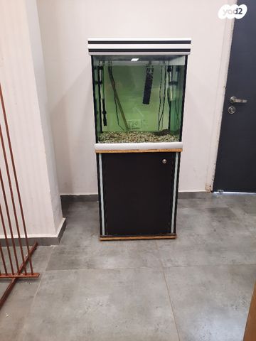 תמונת מודעה - חיות מחמד