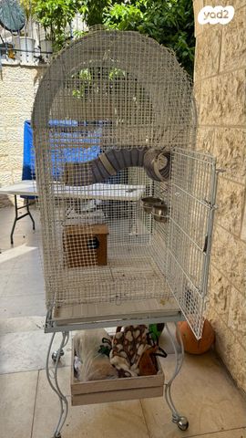 תמונת מודעה - חיות מחמד