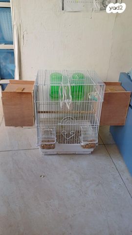 תמונת מודעה - חיות מחמד