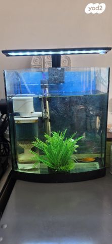 תמונת מודעה - חיות מחמד