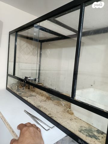 תמונת מודעה - חיות מחמד