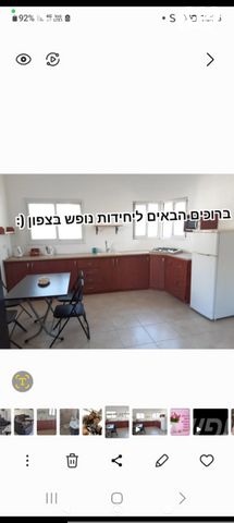 שחף 29