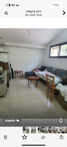 האקליפטוס 1