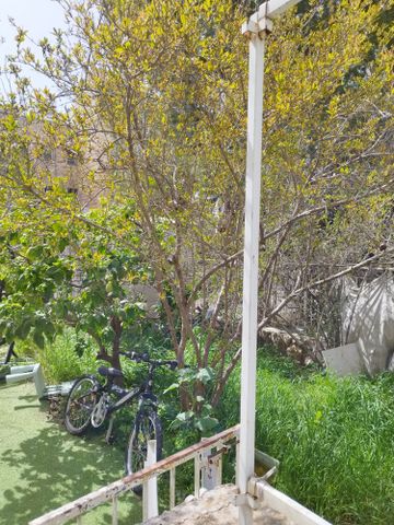 דירת גן למכירה בירושלים (תיווך) — 3