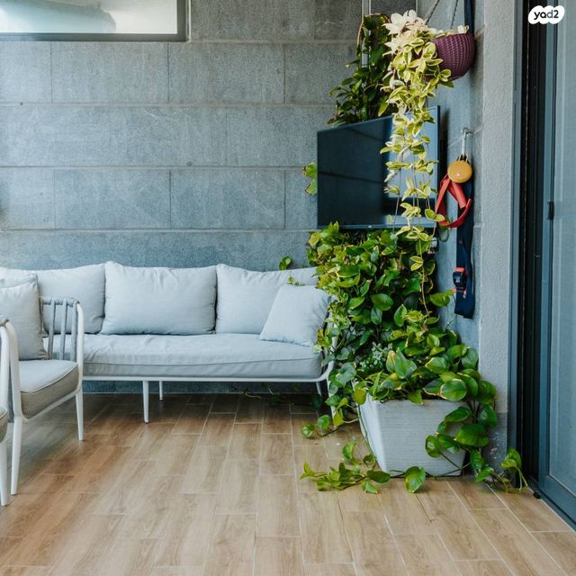 דירה, משכנות האומנים, קרית מוצקין