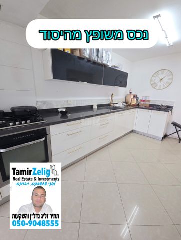צאלים 12