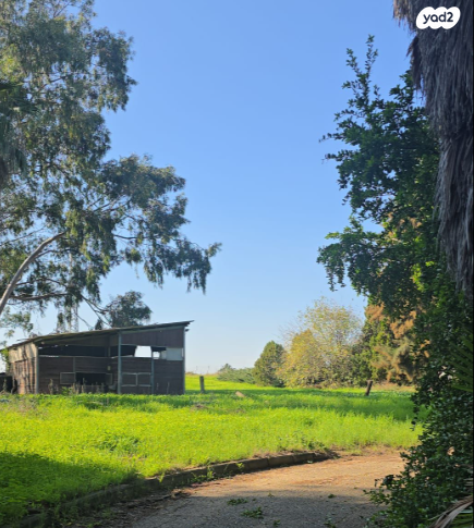 משק חקלאי/ נחלה