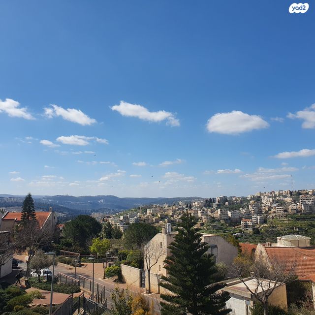 המשוררת זלדה 