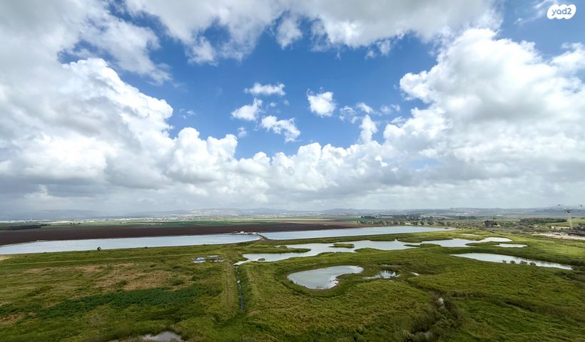 אריק אינשטיין 